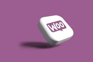 Blogging & SEO schemawriter.ai launches wordpress