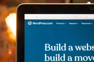 WordPress & Plugins wordpress plugin over